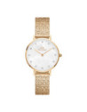 DANIEL WELLINGTON - DW00100594